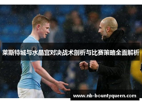 莱斯特城与水晶宫对决战术剖析与比赛策略全面解析